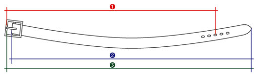 W001  Heavy Curved Belt